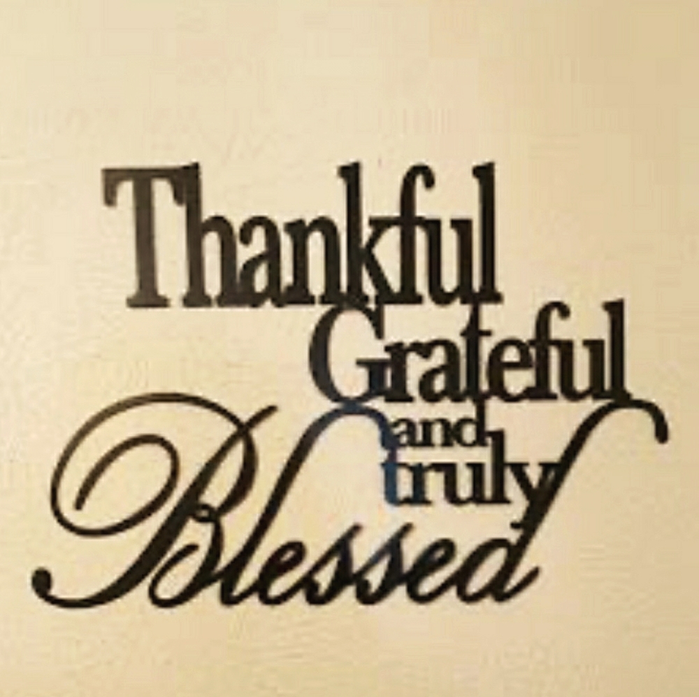 Meet your Posher, Gertrude leather Jackets Suede j